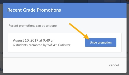 undo_promotion_arrow.jpeg